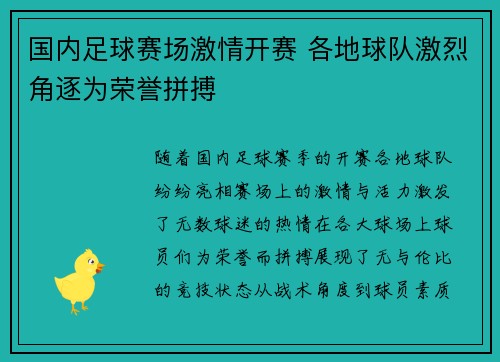 国内足球赛场激情开赛 各地球队激烈角逐为荣誉拼搏